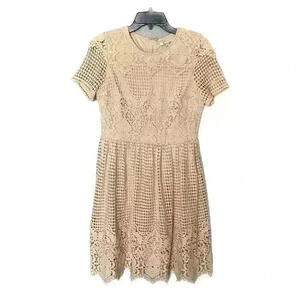 The clothing company Cream Lace Dress
